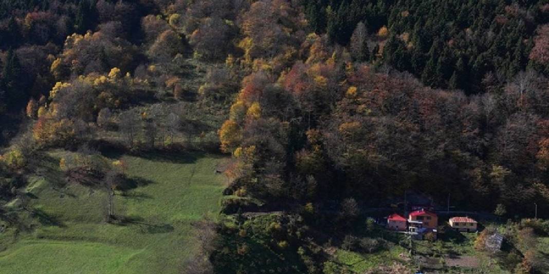 Zigana Dağı eteklerinde eşsiz bir adres! Doğa tutkunları buraya akın ediyor: Unutulmaz anlara hazır olun! 1